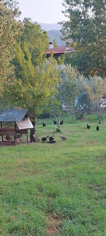 Diamond Farm Villa Kalá Nerá Kültér fotó