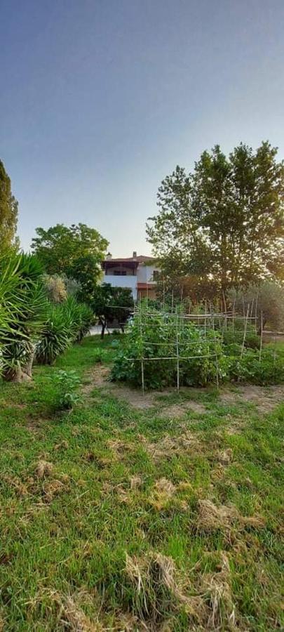 Diamond Farm Villa Kalá Nerá Kültér fotó